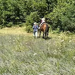 In Near Rabac Beaches * Labin (Istria)