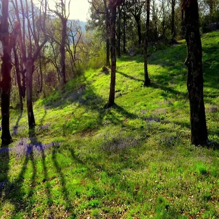 In Near Rabac Beaches Apartman