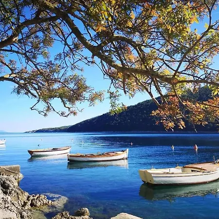 In Near Rabac Beaches * Labin