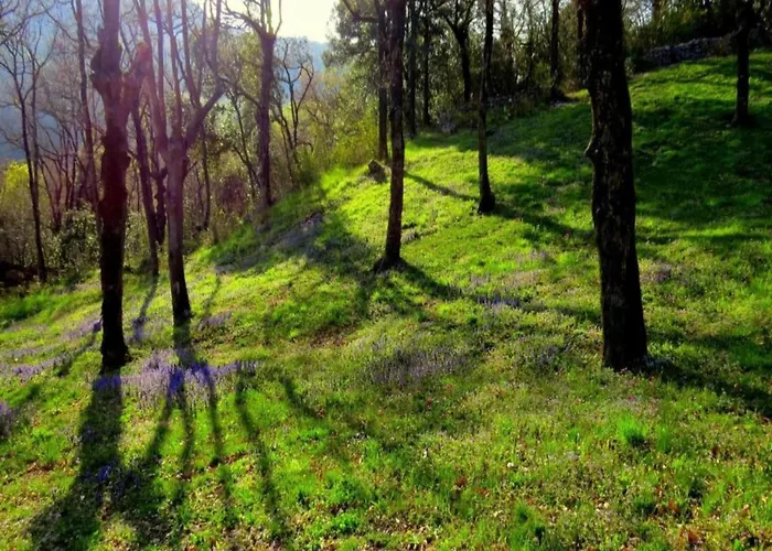 In Near Rabac Beaches Apartament