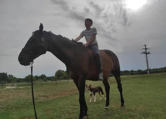 In Near Rabac Beaches Apartament *