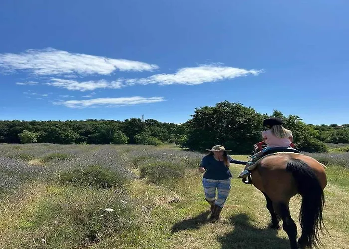 In Near Rabac Beaches * Labin (Istria)