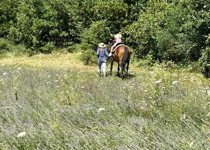 In Near Rabac Beaches * Labin (Istria)