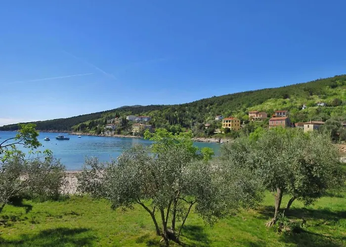 Apartament In Near Rabac Beaches Labin (Istria)